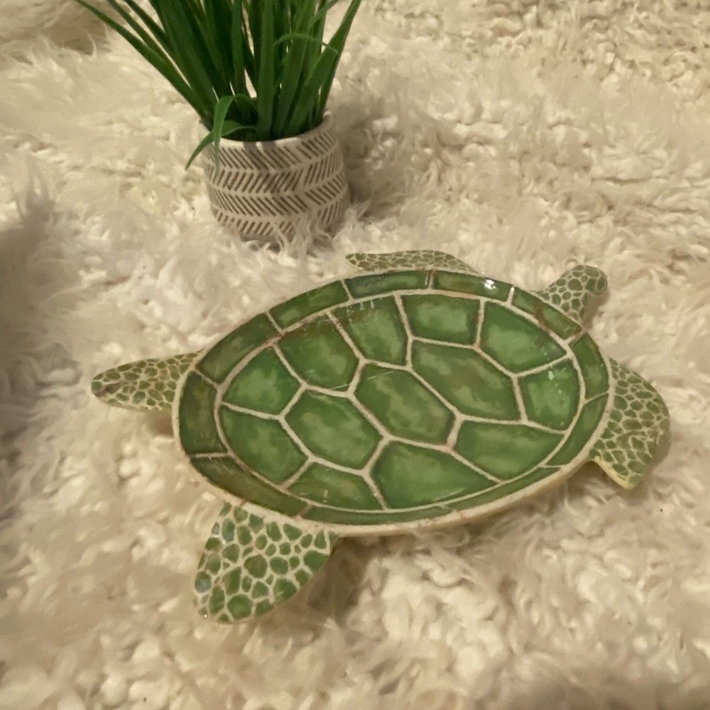 50%offw❤️ Pier 1 Speedy the Turtle Collection Melamine Appetizer Plates